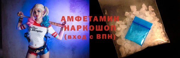 сатива Новозыбков