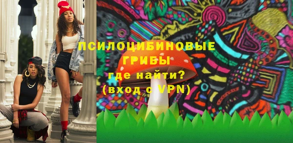 мдма Новодвинск