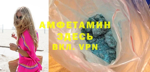 сатива Новозыбков